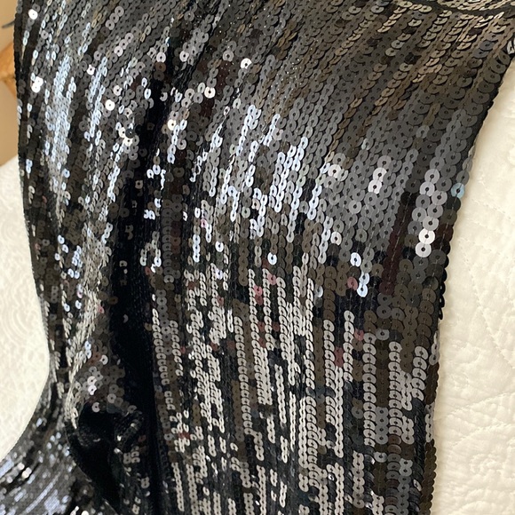 Express Sequin Wide Leg Palazzo Pants X Karla - Lined - Picture 3 of 9